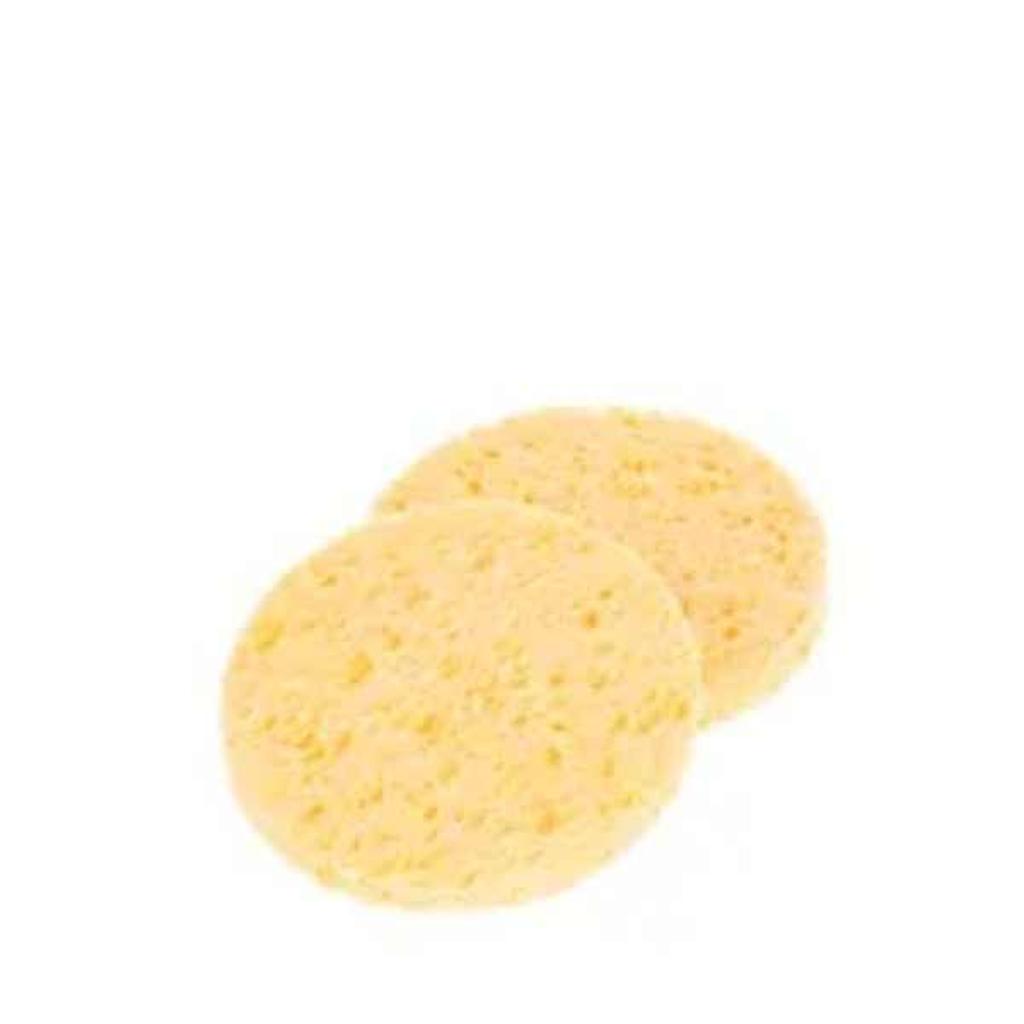 Puhdistussieni, 2 kpl