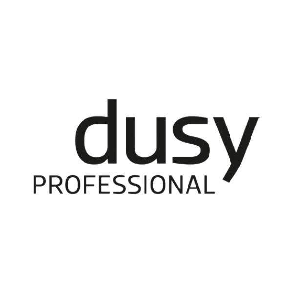 Dusy professional logo